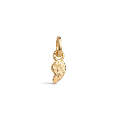 Enamel - Charm - Gold - Twin right