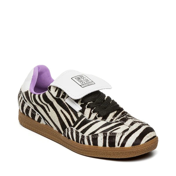 Leo sneaks - Leo/Purple - Ethora-L - Steve madden